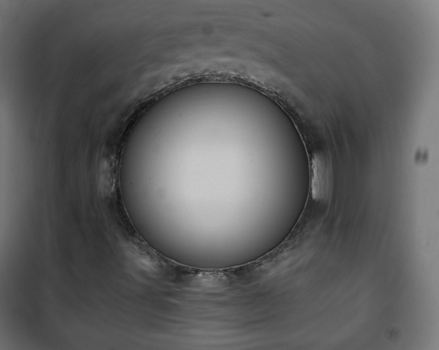 X0000101141491200807071113