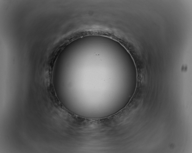 X0000101141493200807071113