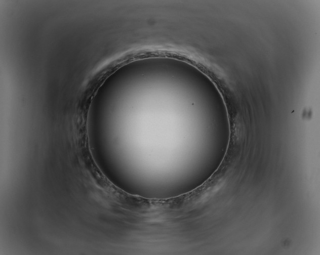 X0000101141494200807071114