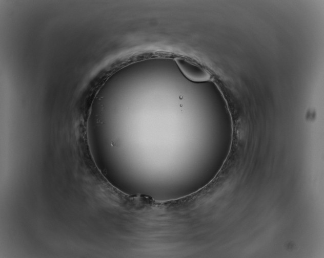 X0000101141495200807071114