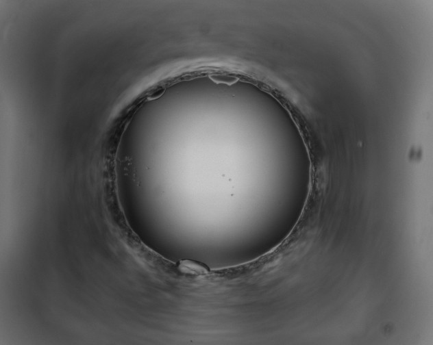 X0000101141496200807071114