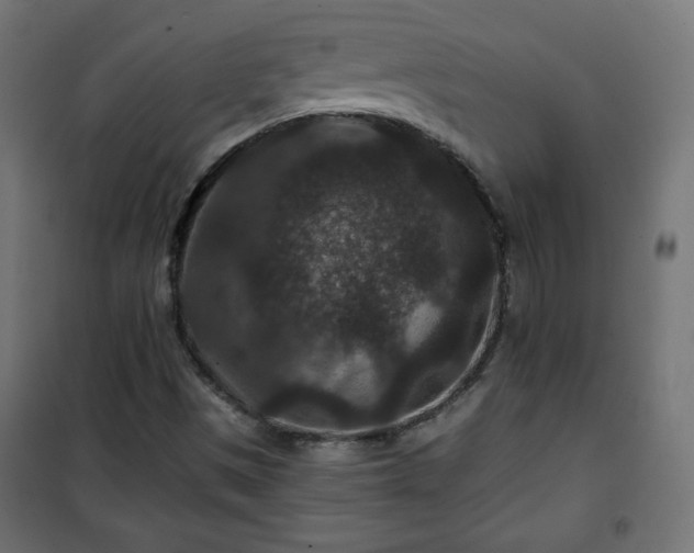 X0000101141497200807071114