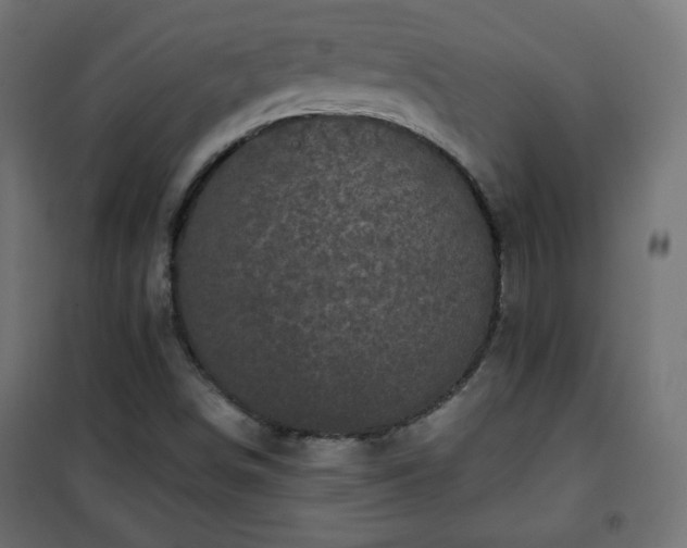 X0000101141498200807071114