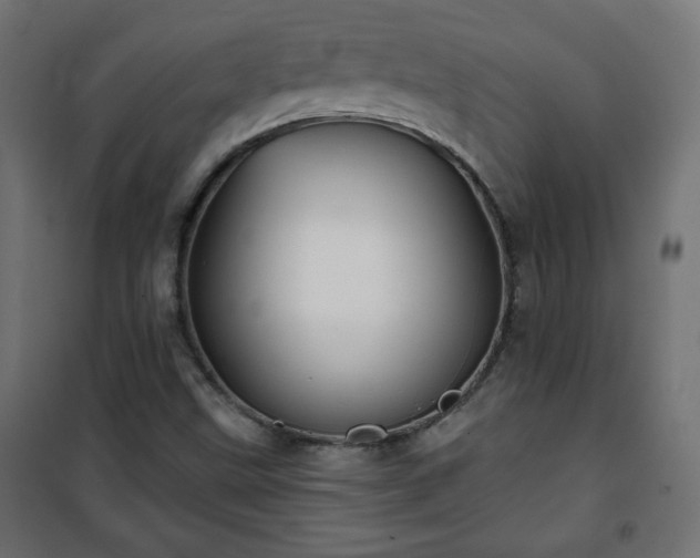 X0000101141499200807071114