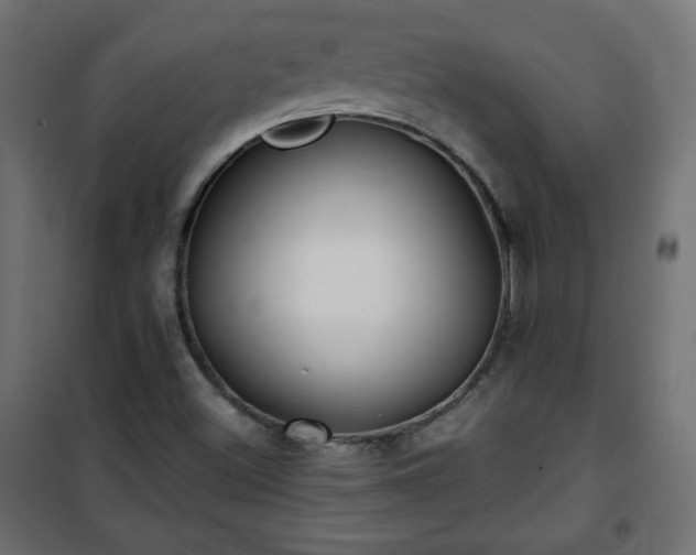 X0000101141500200807071114