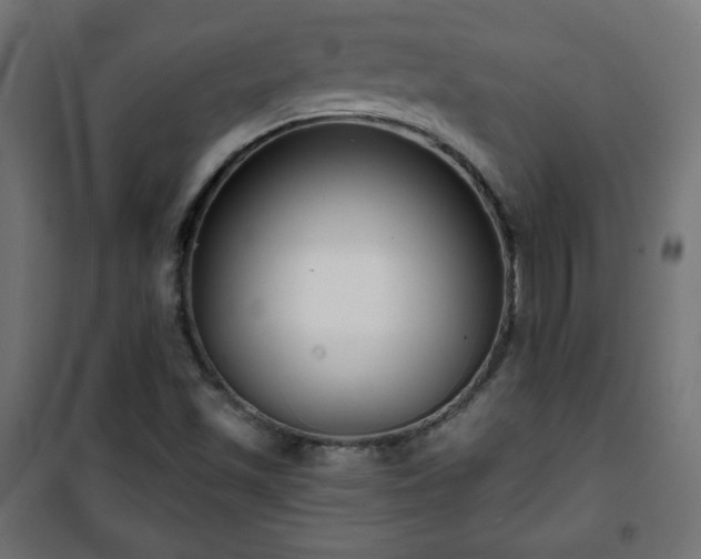 X0000101141501200807071114