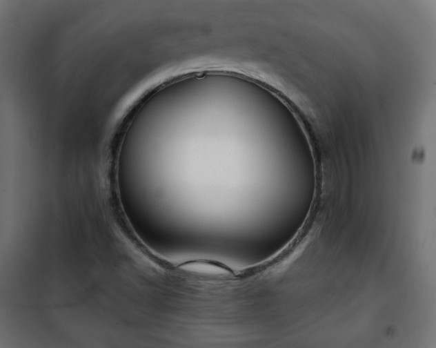 X0000101141502200807071114