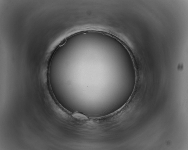 X0000101141504200807071114