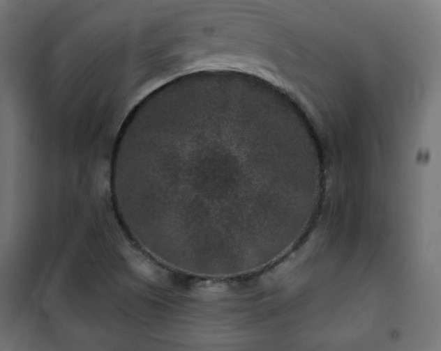 X0000101141505200807071114