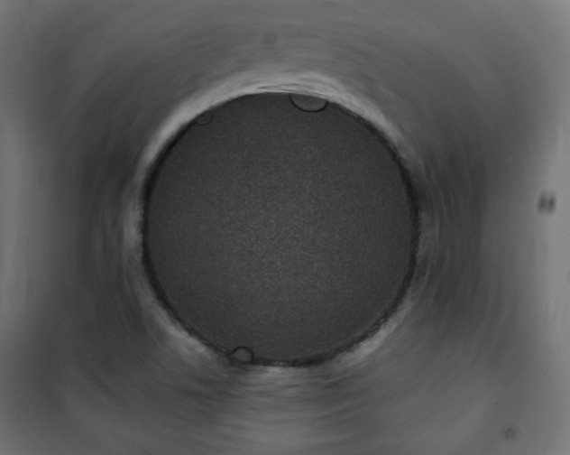 X0000101141506200807071114