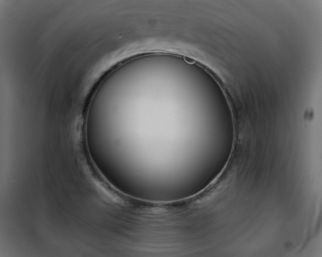 X0000101141507200807071114