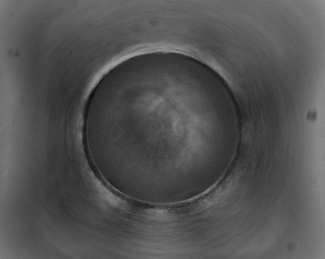 X0000101141508200807071114