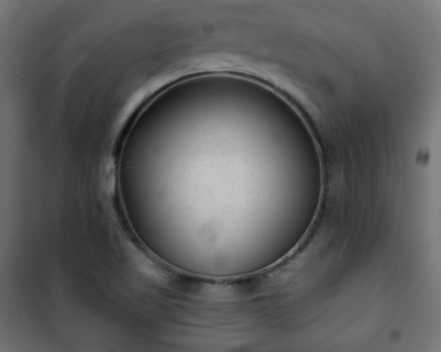 X0000101141509200807071114