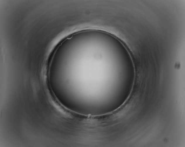 X0000101141511200807071114