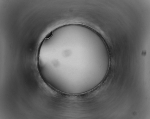 X0000101141512200807071114