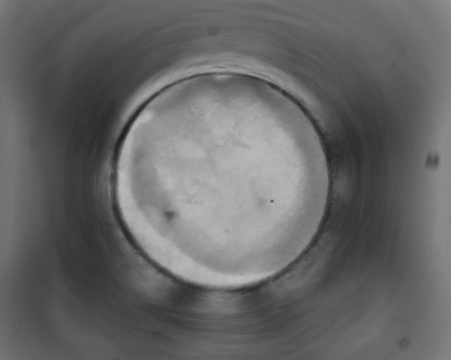 X0000101141514200807071114