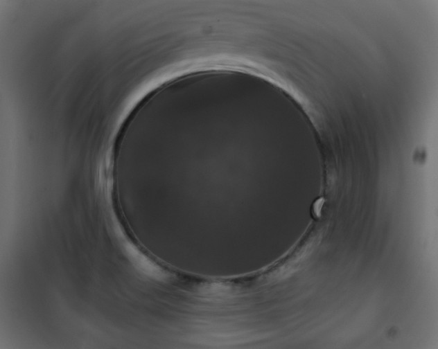 X0000101141515200807071114