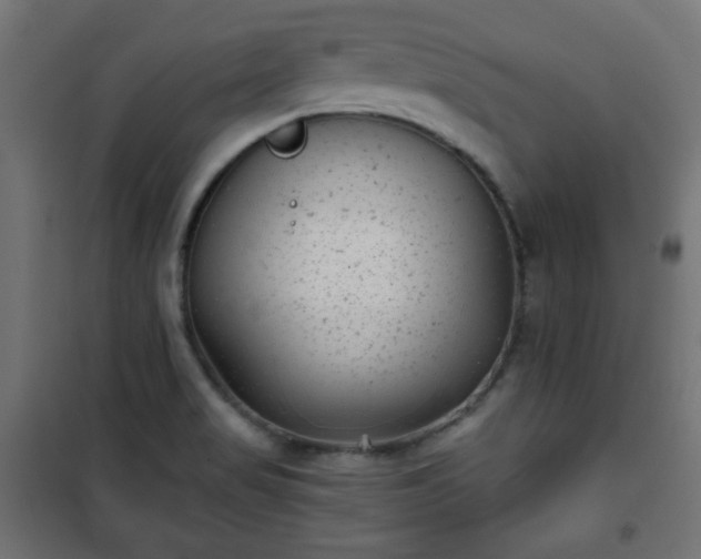 X0000101141517200807071114