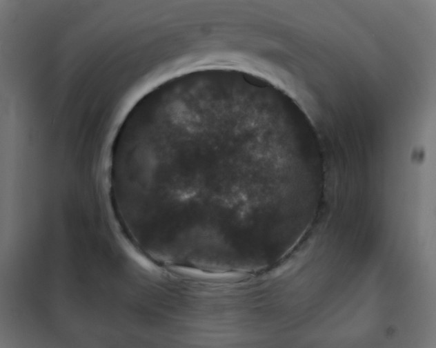 X0000101141519200807071114