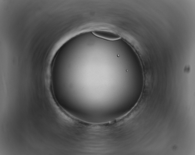 X0000101141520200807071114