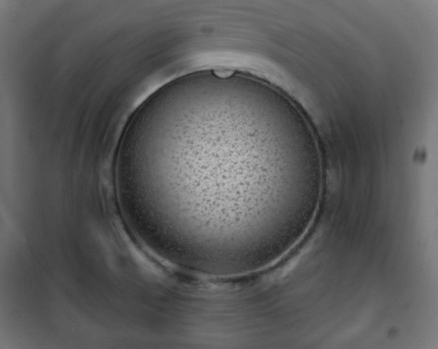 X0000101141521200807071114