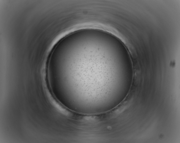 X0000101141523200807071114