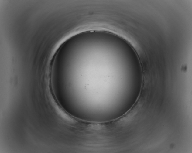 X0000101141526200807071114