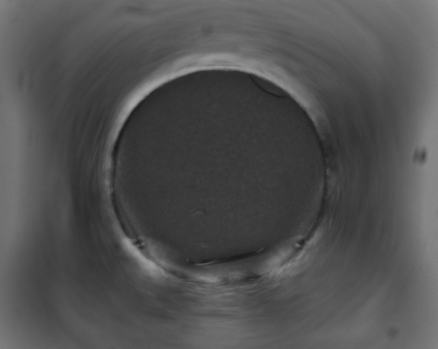 X0000101141527200807071114