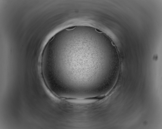 X0000101141528200807071114