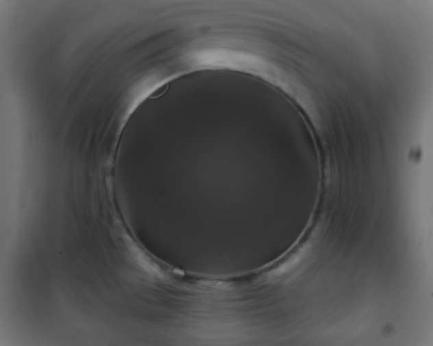 X0000101141529200807071114