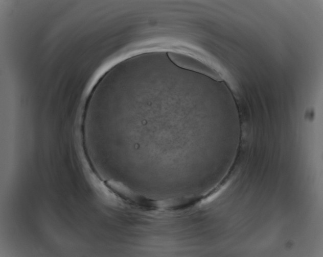 X0000101141530200807071114