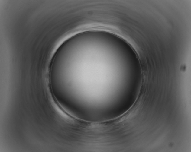 X0000101141531200807071114