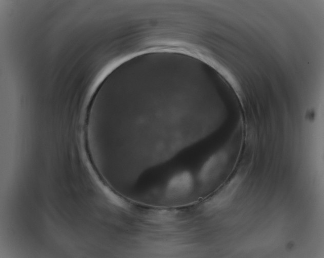 X0000101141533200807071114