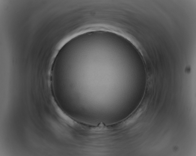 X0000101141535200807071114