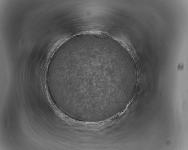 X0000101140001200807110953