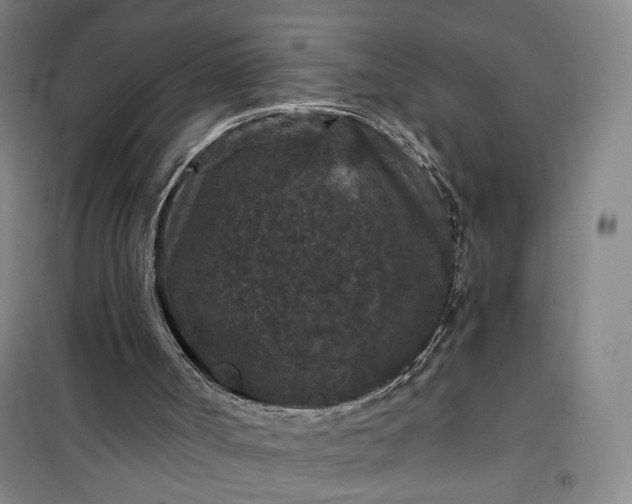 X0000101140002200807110953