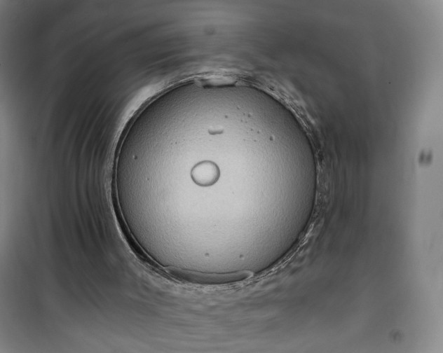 X0000101140003200807110953