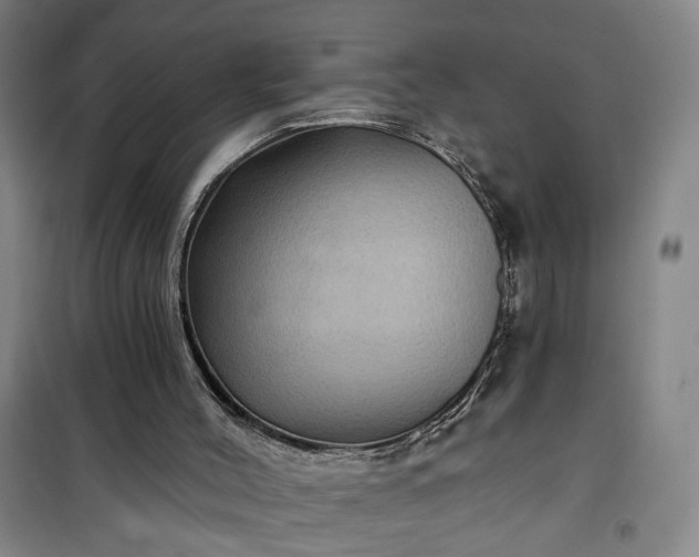 X0000101140004200807110953