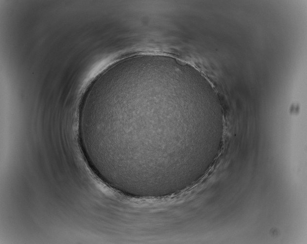 X0000101140005200807110953