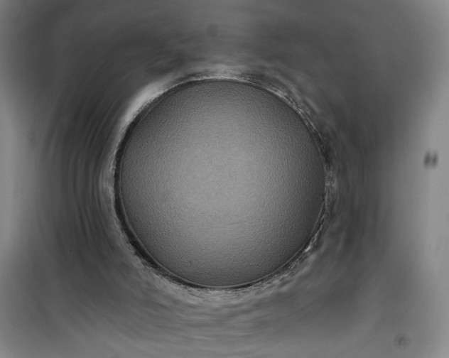 X0000101140006200807110953