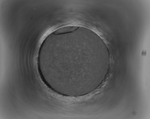 X0000101140007200807110953