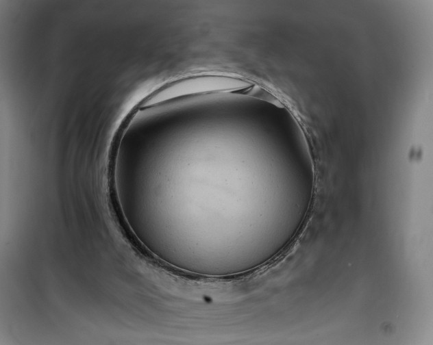 X0000101140008200807110953