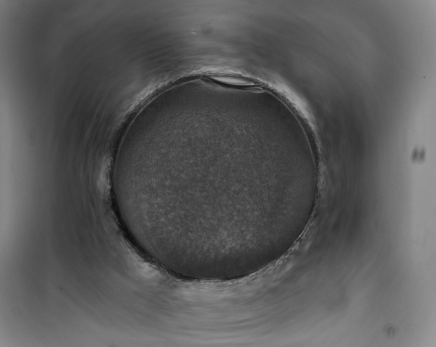 X0000101140009200807110953