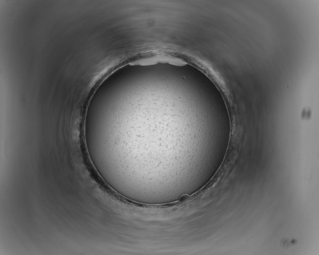 X0000101140010200807110953