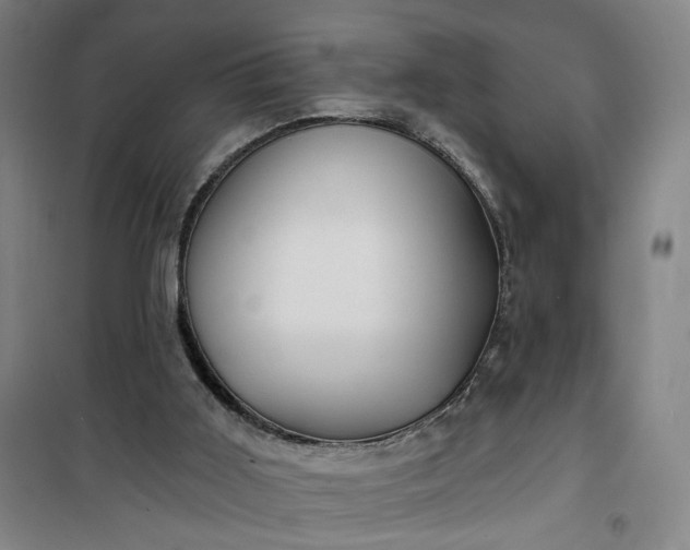 X0000101140011200807110953