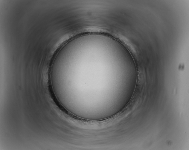 X0000101140015200807110953