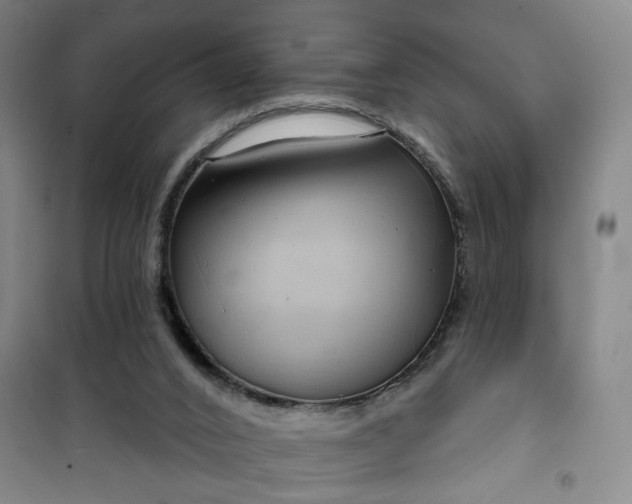 X0000101140016200807110953