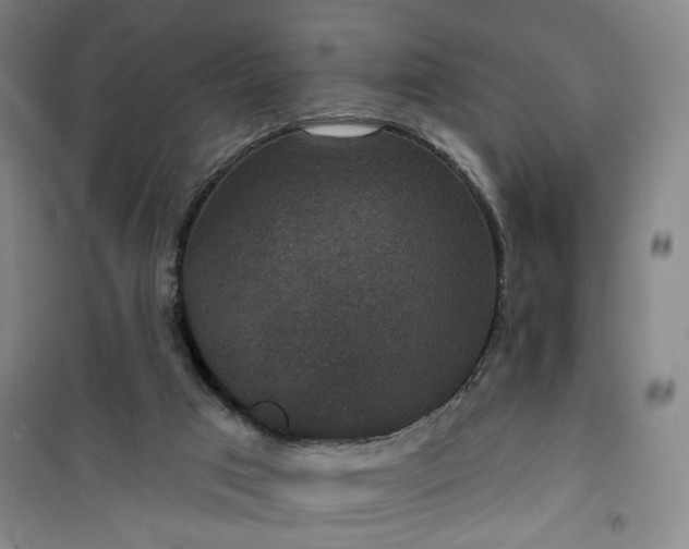 X0000101140017200807110953