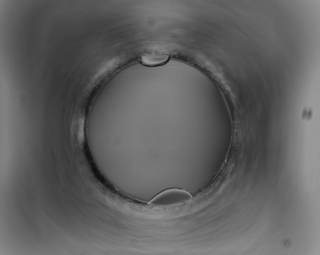 X0000101140019200807110953