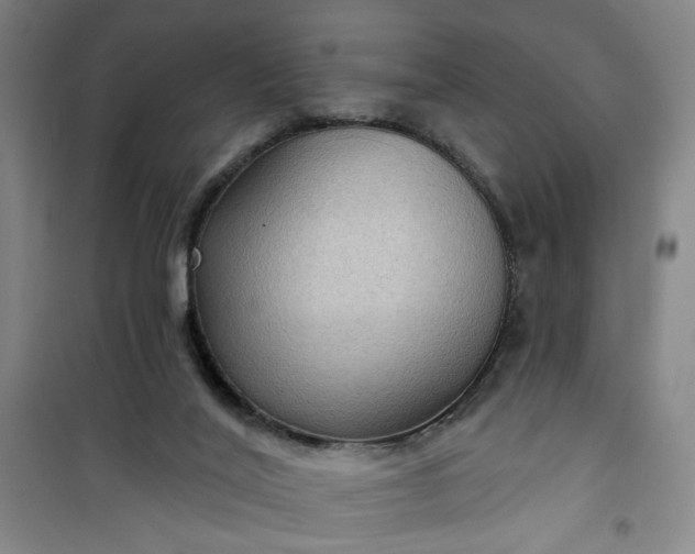 X0000101140020200807110953